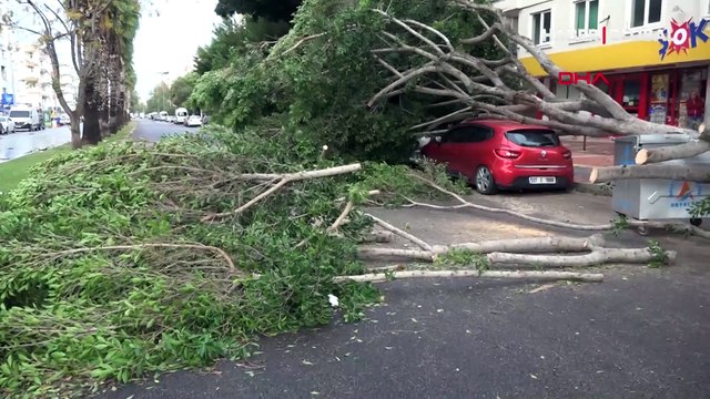 Antalya'da şiddetli yağış ve fırtına; tekneler battı, ağaçlar devrildi