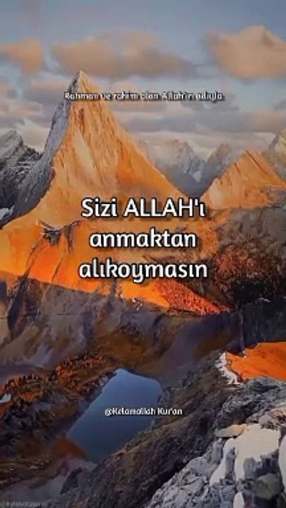 VID_20231122_221118_108
