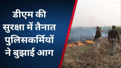 बागपत: गन्ने की पत्ती में आग लगा रहे किसान को डीएम ने रोका, जानिए क्यों