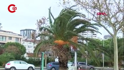 KADIKÖY VE KÜÇÜKÇEKMECE'DE FIRTINANIN ETKİSİYLE DEV DALGALAR OLUŞTU