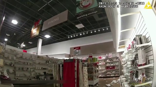 Une biche vient faire ses courses pour le black friday