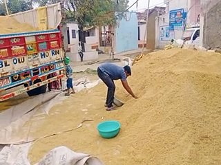 मौसम बदला तो उपज को सुरक्षित करने में जुटे किसान-video