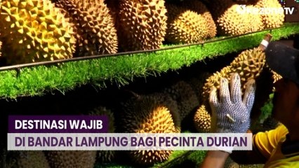 Destinasi Wajib di Bandar Lampung Bagi Pecinta Durian