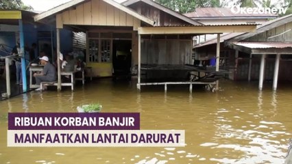 Download Video: Bertahan di Rumah, Ribuan Korban Banjir di Aceh Singkil Gunakan Lantai Darurat