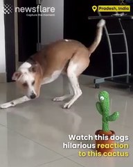 372658292_682488093757406_6401807656978261707_n