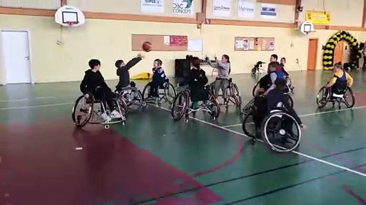 Basket fauteuil