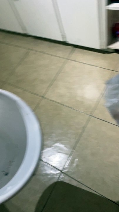 Dog Snitches Over Destroyed Bucket