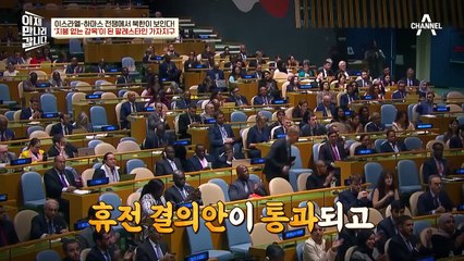 지붕 없는 감옥! 팔레스타인 가자지구에서 일어나고 있는 처참한 현장