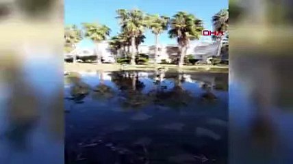 Antalya'da deniz 100 metre içeriye girdi