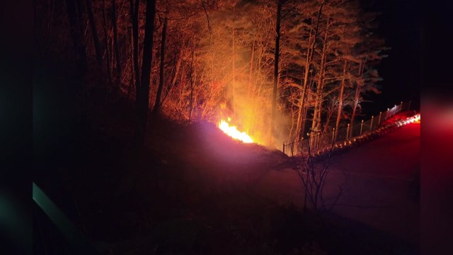 울산 울주군 야산에서 불... 캠핑장 불 옮겨붙어 / YTN