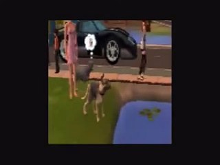 contentinstaller49 - Saku Part 9