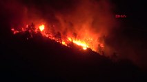 Trabzon'da Ormanda Yangın Çıktı, İtfaiye Ekipleri Dumandan Etkilendi