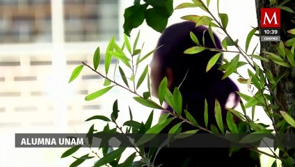 UNAM presenta avances en la investigación y sanción contra la violencia de género