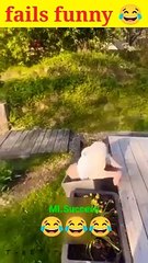 The end  very funny  -- fails funny -- #funny #failsarmy #shorts #viral