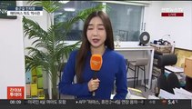 [출근길 인터뷰] 메타버스 독도전시관 구축 박기태 반크 단장