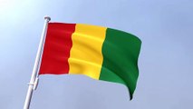 Guinea Waving Flag