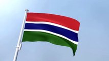 Gambia Waving Flag
