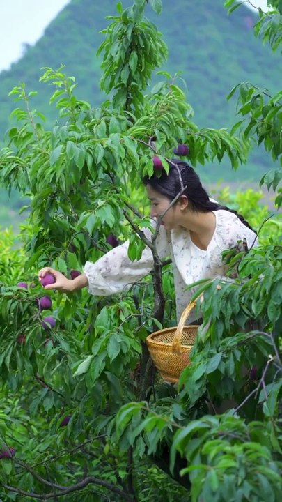 Today I went to the fields and plucked many sweet and sour fruits.