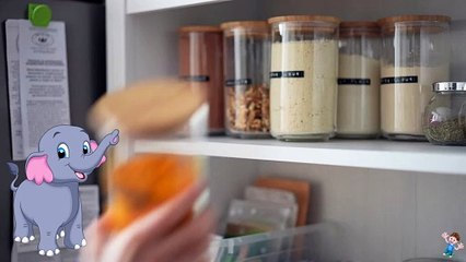 Learn Alphabet J with Shaaani Kids Cartoon TV