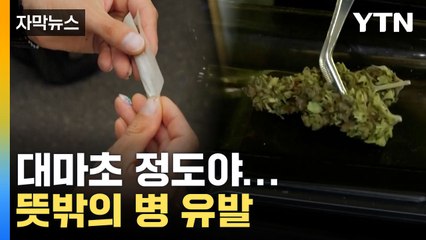 [자막뉴스] "큰 위협될 것"... 대마초 뜻밖의 상호관계 발견 / YTN