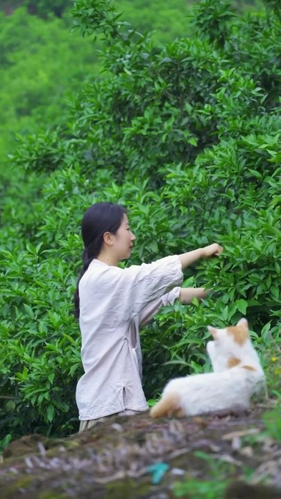 Today I plucked a lot of sweet and sour fruits from the farm and after coming home, made a wonderful cooking recipe.