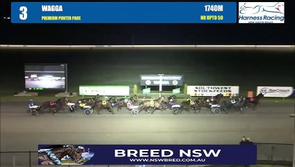 Hy Poactive makes it two from two at Riverina Paceway