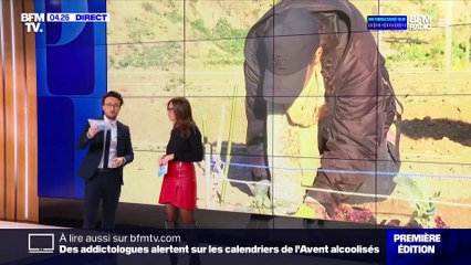 Pauline Pioche sur BFM (27/11/2023)
