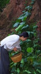 Today I plucked a lot of round gourd vegetables from the farm and after coming home made mixed pickles from them, I cooked very well.