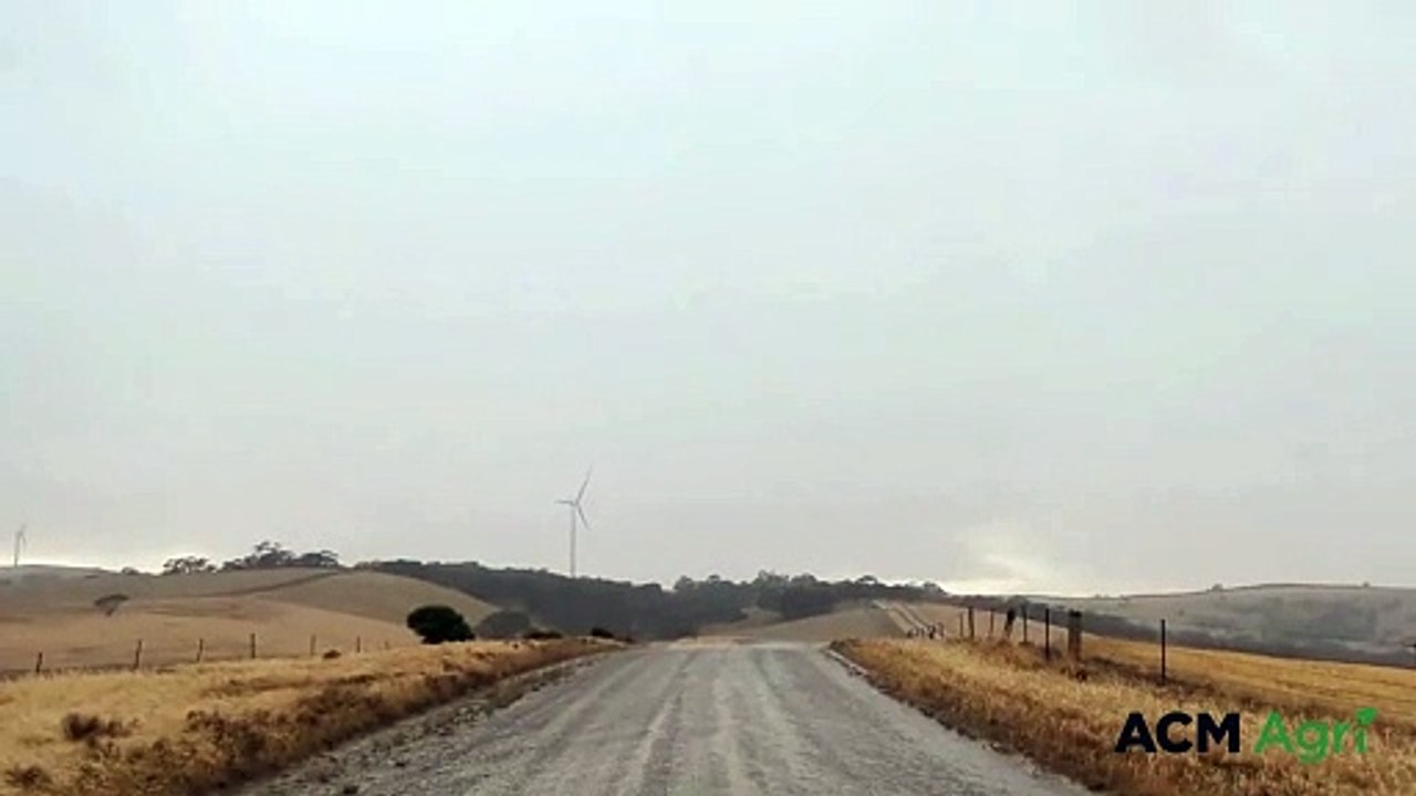 Rain in the Mid North | Stock Journal | 27/11/23