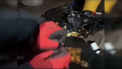 Iğdır'da Tarihi Eser Operasyonu: 5 Şüpheli Gözaltına Alındı