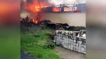 İstanbul'da tavuk çiftliği alev alev yandı