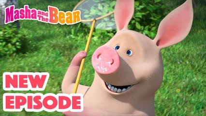 Masha and the Bear 2023  NEW EPISODE!  Best cartoon collection  When a Pig Flies
