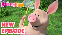 Masha and the Bear 2023  NEW EPISODE!  Best cartoon collection  When a Pig Flies