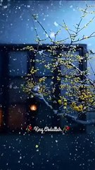 جنت میں کون سی چھ چیزیں نہیں ہوں گی