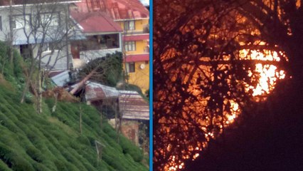 Rize'de fırtına elektrik direklerini devirince orman yangını çıktı