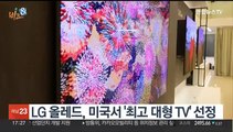 [비즈&] LG 올레드, 미국서 '최고 대형 TV' 선정 外