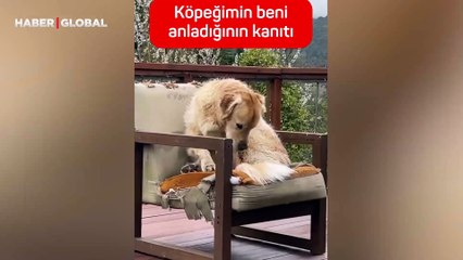 Sahibine cevap veren köpek gündem oldu: ''Beni nasıl anladığının kanıtı''