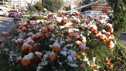 Yozgat’ta buzlanma nedeniyle çok sayıda tır sürücüsü zor anlar yaşadı