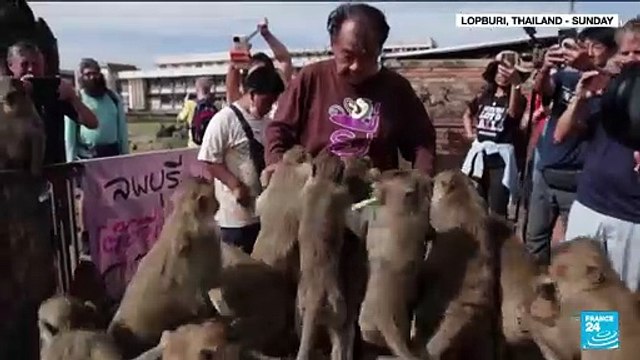 Thailand offers banquet for monkeys to boost tourists