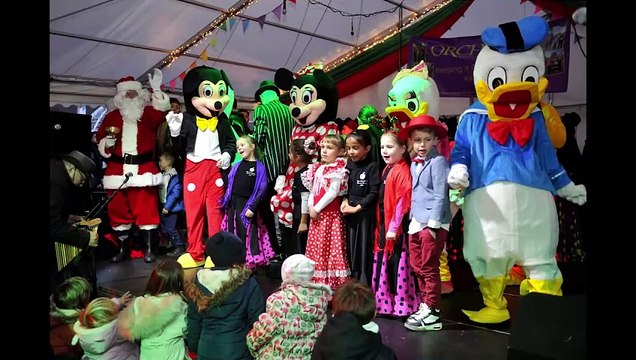 The Orchards Shopping Centre Christmas lights switch on in Haywards Heath