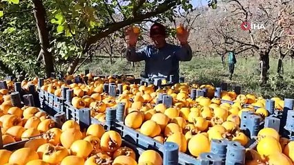 Asrın felaketinin merkez üssünde yenebilir altını sevinci kamerada