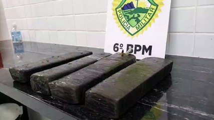 Após denúncia, Polícia Militar encontrar tabletes de maconha escondido em matagal