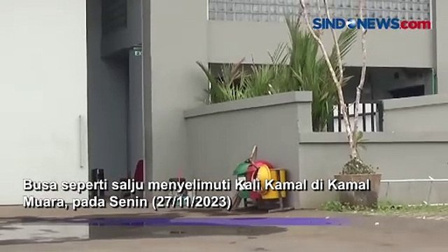 Kali Kamal Diselimuti Busa Tebal, Jadi Tempat Bermain Anak-Anak