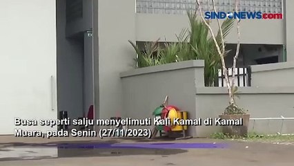 Kali Kamal Diselimuti Busa Tebal, Jadi Tempat Bermain Anak-Anak