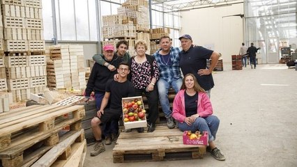 Familles de paysans, 100 ans d'histoire