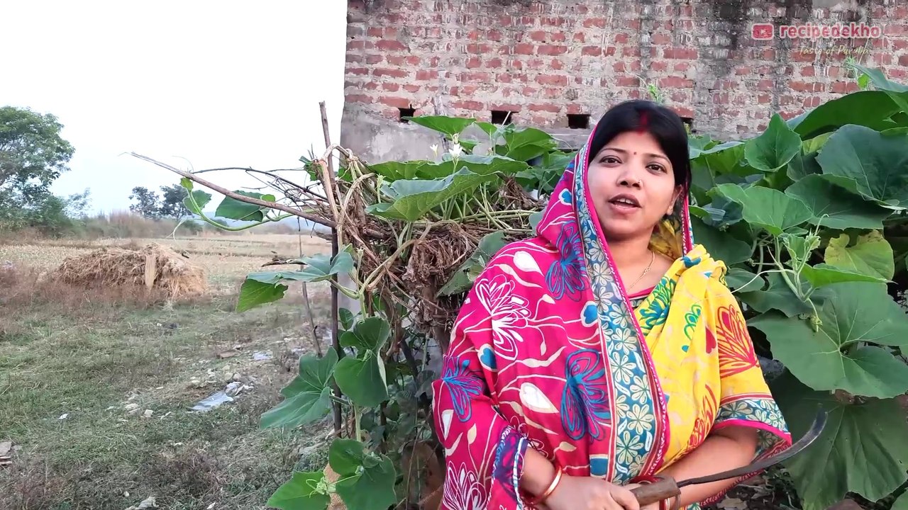 bottle gourd leaves recipe