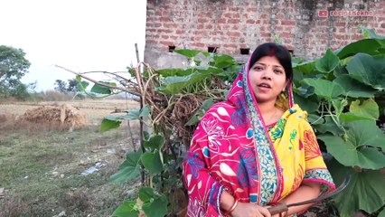 bottle gourd leaves recipe