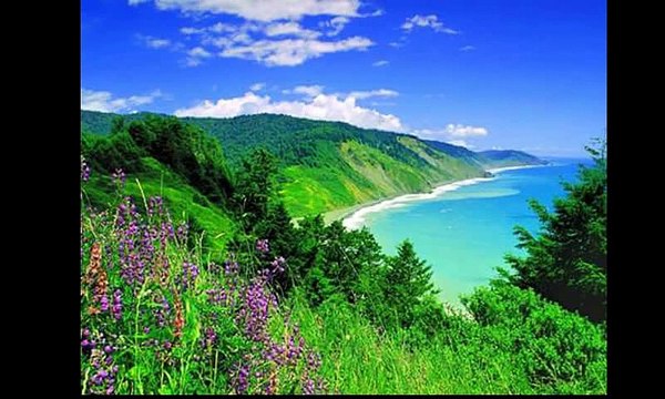 روائع تلاوات شيخ الشاطري 1412 هـ يس الصافات الجاثية محمد جودة عالية