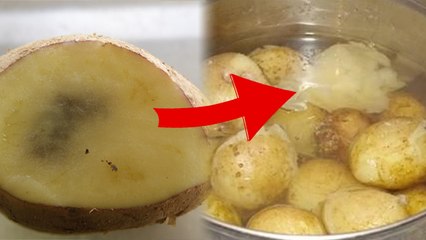 Boiled Potato Store Kaise Kare, Fridge में रखने के Side Effects | Boldsky