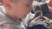 Toddler boy loves to hug his best friend French bulldog *Wholesome Video*